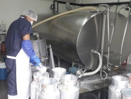 O inesquecível ano de 2023 e as margens financeiras na cadeia produtiva do leite
