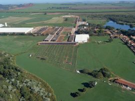 Conheça a história da Fazenda Colorado, a maior produtora de leite do país