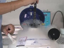 Inseminação artificial e o impacto de um manejo reprodutivo bem definido