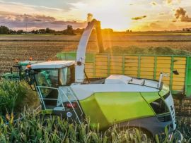 Os 7 passos principais para uma silagem de milho de qualidade