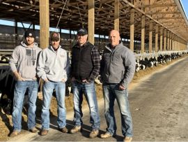 Como uma fazenda americana de vacas Holandesas produz 33.500 libras de leite com 700 vacas