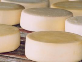 Queijo Minas: uma iguaria brasileira e muito saudável