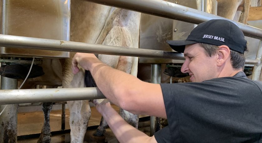 Produção de leite inspecionado cresce 2,1% em 2020 e atinge recorde histórico