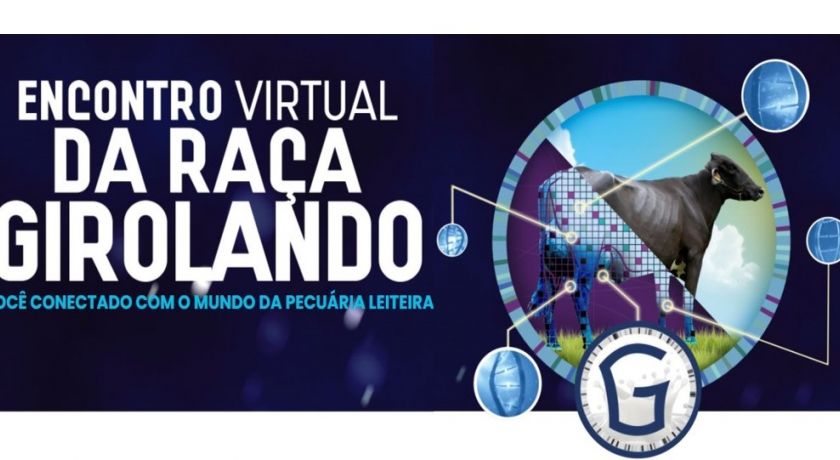Inscrições abertas para o Encontro Virtual da Raça Girolando