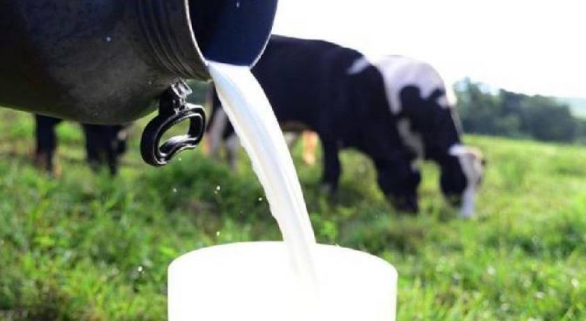 Wagner Beskow: Produtor de leite vs indústria de laticínios