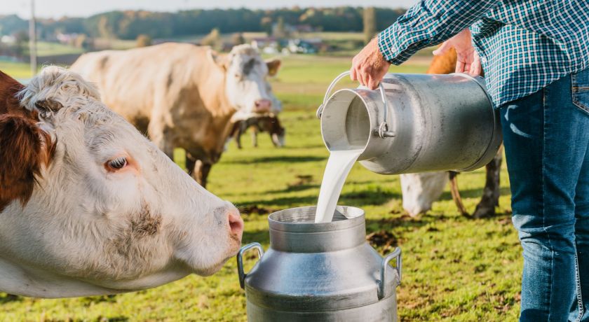 Produtora gaúcha faz desabafo sobre o preço do leite no mercado
