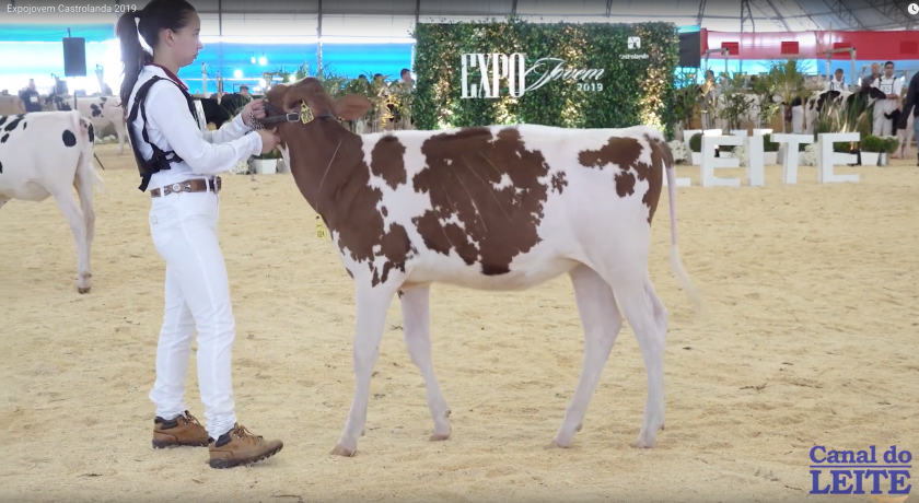 Expojovem Castrolanda abriu a agenda das atividades para o Agroleite 2019