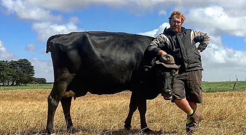 Primeira ordenha robótica rotativa causa ótima impressão na Austrália