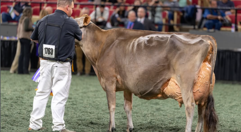 Bailey: reina suprema em Madison e entra de vez para a história