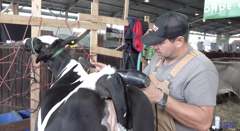 O Gado leiteiro na Expointer 2019 - Maior Feira Agropecuária da América Latina