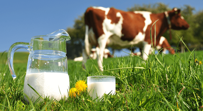 Controle de qualidade do leite é vital para produto competitivo