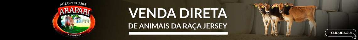 Venda de Gado Jersey Registrado - Agropecuária Arapari