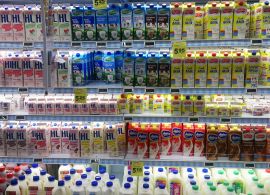 EUA: USDA reduz a previsão de preços do leite em 2023, mas as estimativas de produção permanecem as mesmas