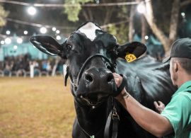 49ª edição da Expoleite trouxe inovações e força para o setor leiteiro