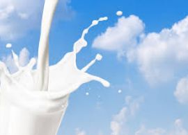 Importações de lácteos avançam no país, gerando déficit recorde