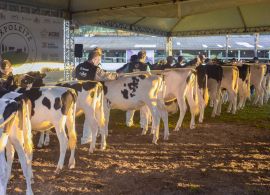 Expo Leite Beef Show deste ano contou com inovações para o setor leiteiro