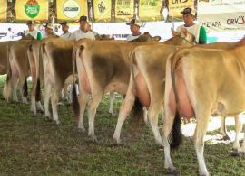 Expoece 2023 contou com mais de 5 mil animais de exposição