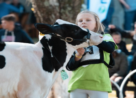 A Expoleite, em Arapoti/PR, chega à sua 50ª edição como uma das principais vitrines da bacia leiteira dos Campos Gerais do Paraná