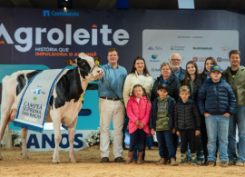 Vaca Holandesa Preta e Branca é Campeã Suprema das raças no Agroleite 2025