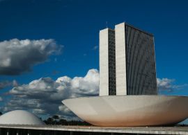 Audiência pública sobre uso da denominação “leite” em produtos vegetais na Câmara dos Deputados