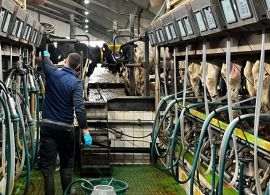 Bacias Leiteiras Brasileiras 2024