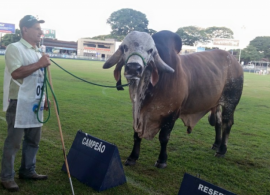 ABCZ e ABCGIL consolidam regras do Gir Leiteiro para a ExpoZebu