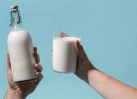 Leite ou Produto Lácteo? Entenda o que muda na composição e no preço