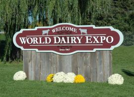 Resumo da World Diary Expo 2019 em Madison - EUA