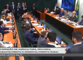 Comissão de Agricultura debate impactos da abertura do mercado lácteo no Brasil