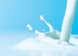 Proteína do leite: o ingrediente que saiu da academia e tomou conta do Brasil