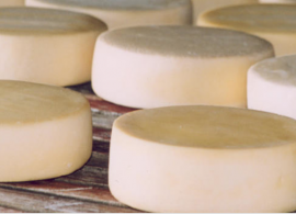 Definidas regras para venda de queijo artesanal em todo o país