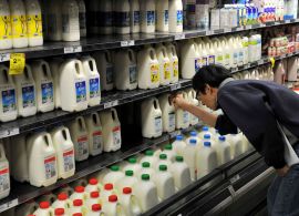 Preços do leite ao produtor são os maiores da série histórica no mês de janeiro