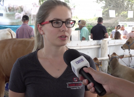 Gado leiteiro é destaque na Itaipu Rural Show no oeste catarinense