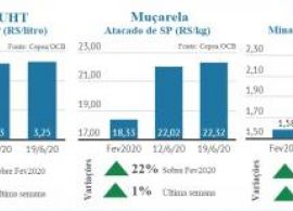 Leite Spot registra nova alta e atacado acompanha movimento