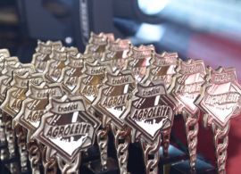 DESTAQUES DA CADEIA LEITEIRA SÃO PREMIADOS NO TROFÉU AGROLEITE 2021