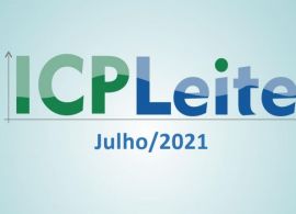 EMBRAPA: Custo de Produção do Leite variou 0,26% em julho