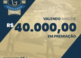 Copa Virtual Girolando terá mais de 40 mil em prêmios
