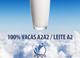 Anvisa publica resolução sobre benefícios digestivos do leite A2