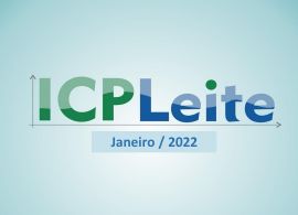 Embrapa: Custo de Produção de Leite cresce 2,4% em janeiro