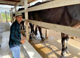 Jovem produtor rural é referência na cadeia Bovinocultura de Leite