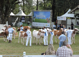 48ª Expoleite Arapoti iniciou nesta quinta-feira