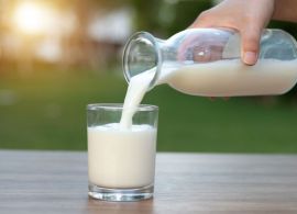 Níveis de proteína de produtos lácteos versus produtos alternativos