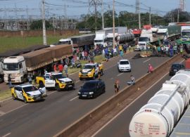 CEPEA: Com paralisações, perecibilidade preocupa