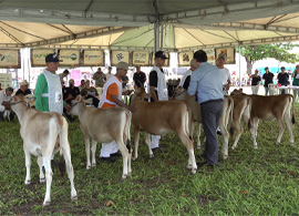 Expoece 2022 - A principal feira do agronegócio do Nordeste foi um sucesso!