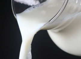 Lácteos e saúde: 3 alimentos que não podem faltar no seu dia a dia