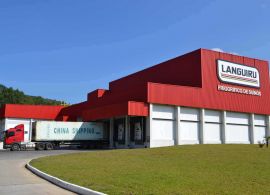 Cooperativa Languiru e Lactalis firmam parceria para captação de leite