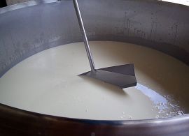 Produtores em Brasília contra a importações predatórias de leite