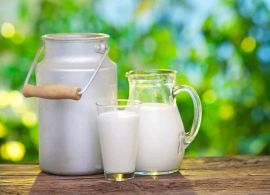 Início de safra e maior volume de importação de lácteos incrementam oferta e reforçam queda nos preços