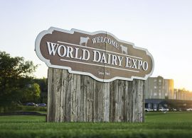 World Dairy Expo 2025 começa em Madison com foco em inovação, negócios e genética de ponta