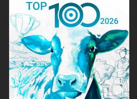 Top 100 Produtores de Leite do Brasil Alcançam Recorde em 2025: 35 mil litros por dia em média